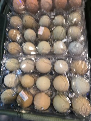 방촌대장님의 자유주제 · 자유게시판 작성글 사진