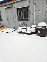 팜모닝 자유주제·자유게시판 게시글 이미지