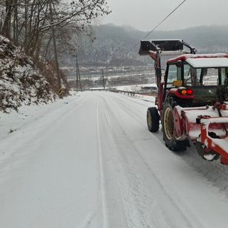 오영도님의 자유주제 · 자유게시판 작성글 사진
