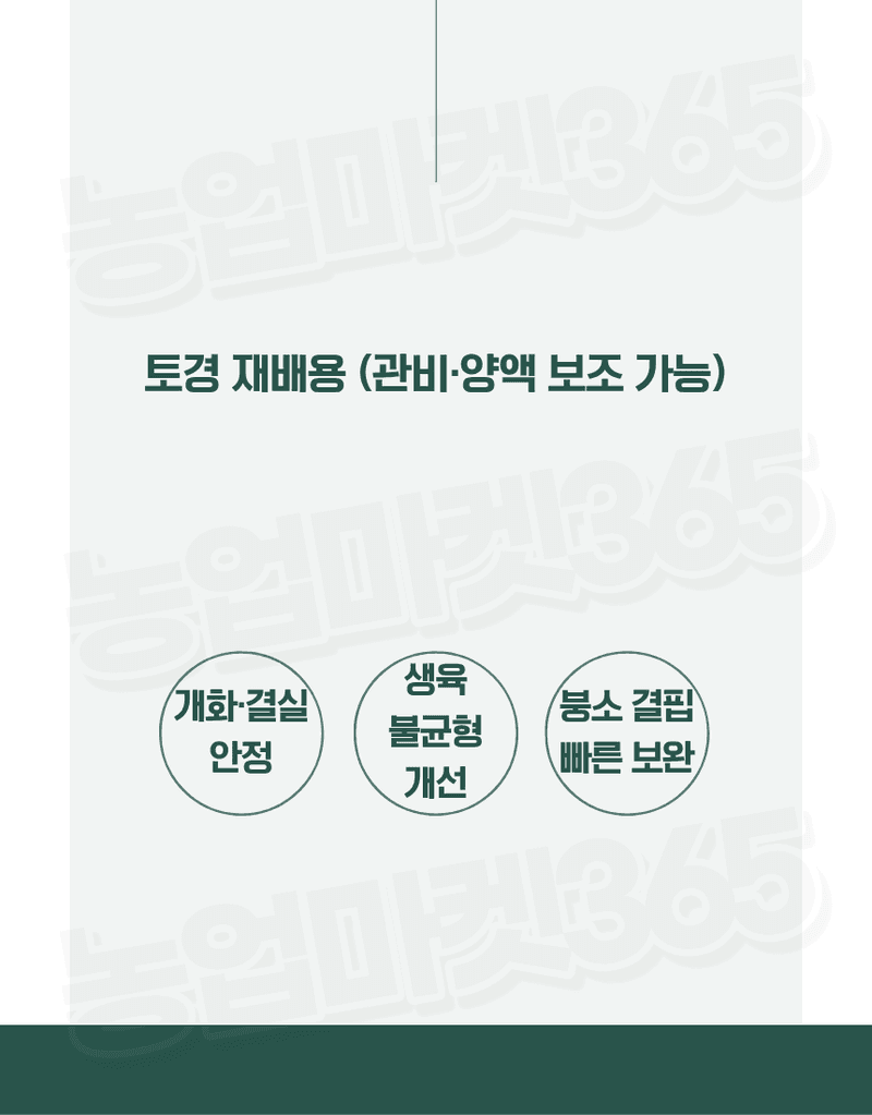 농업마켓365님의 장터 판매 상품 [U.S.Borax 미국산 고순도 붕사 48% 25KG 토경재배용 붕소결핍개선 붕소공급] 첨부 사진