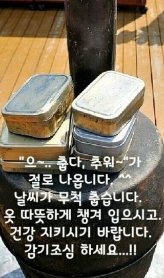 MSG0074님의 자유주제 · 자유게시판 작성글 사진