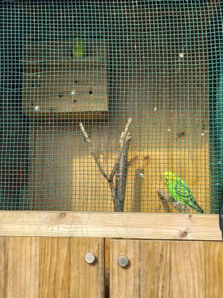 박린님의 자유주제 · 자유게시판 작성글 사진