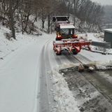 팜모닝 자유주제·자유게시판 게시글 이미지