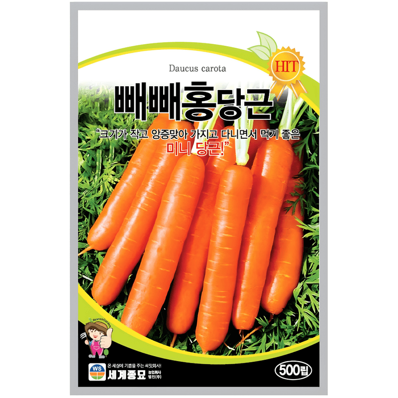 장터 상품 [미니당근 씨앗 500립, 고당도 빼빼홍 당근 이색채소 종자] 썸네일