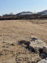 팜모닝 · 게시글 이미지