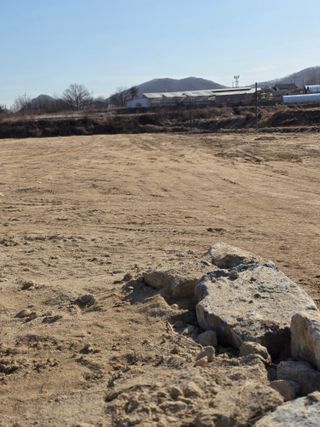 참깨13140님의 작성글 사진