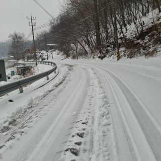 오영도님의 자유주제 · 자유게시판 작성글 사진