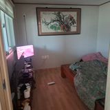 팜모닝 자유주제·자유게시판 게시글 이미지