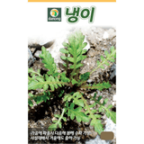팜모닝 · 게시글 이미지