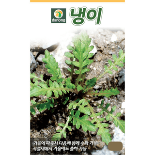 주주씨앗님의 작성글 사진