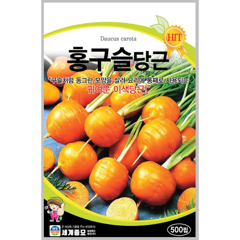 주주씨앗님의 장터 판매 상품 [미니당근 씨앗 500립 / 구슬처럼 동그란 극조생종 홍구슬 당근 씨앗] 첨부 사진