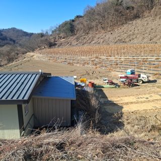 오영도님의 자유주제 · 자유게시판 작성글 사진