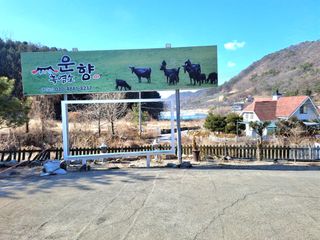 MSG0074님의 자유주제 · 자유게시판 작성글 사진