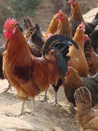 방촌대장님의 자유주제 · 자유게시판 작성글 사진