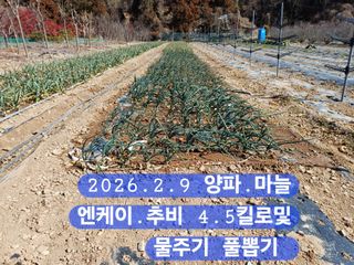 박성민님의 자유주제 · 자유게시판 작성글 사진