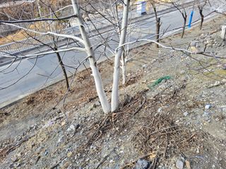 김용대님의 자유주제 · 자유게시판 작성글 사진