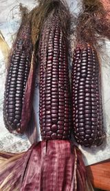 팜모닝 · 게시글 이미지