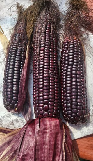 김성필님의 작성글 사진