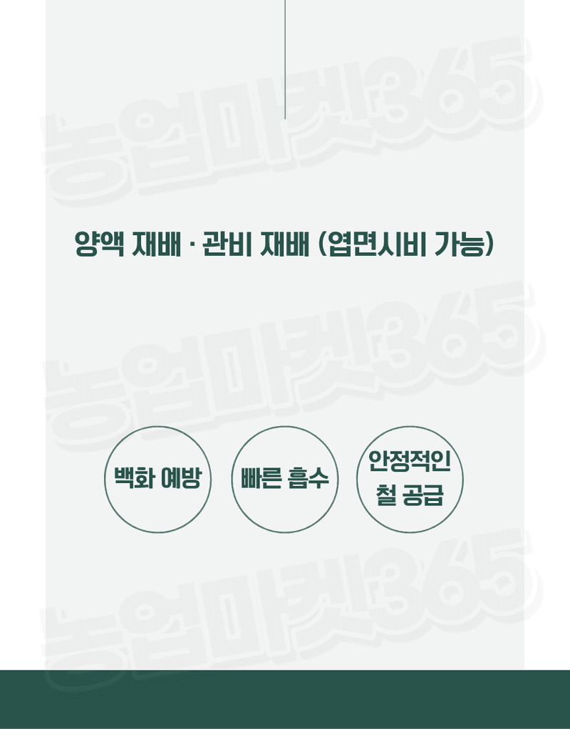 농업마켓365님의 장터 판매 상품 [킬레이트철 EDTA FeNa 13 수용성 비료 4KG/1KG 양액비료 관주비료 백화케어] 첨부 사진