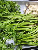 헤라여신^^♡님의 자유주제·자유게시판 작성글 사진