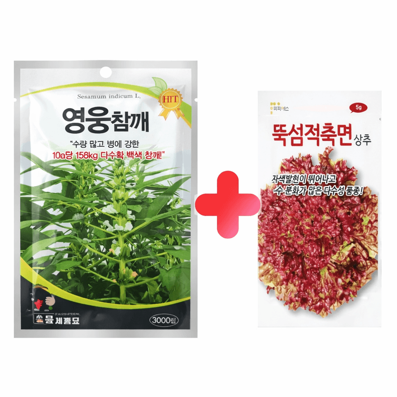 장터 상품 [무료배송 영웅참깨3000립 코팅종자] 썸네일