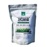 팜모닝 · 게시글 이미지