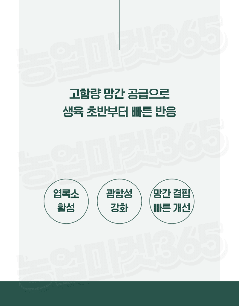 농업마켓365님의 장터 판매 상품 [황산망간 1수염 31.8% 4KG/1KG 양액비료 관주비료 망간결핍개선 망간공급] 첨부 사진