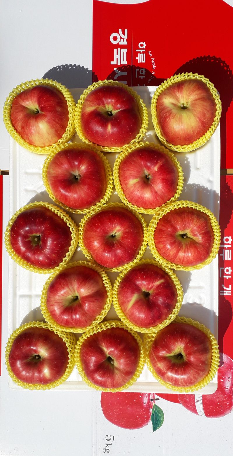 이슬농부농산님의 장터 판매 상품 [[히트상품] 가정용못난이 부사사과(10kg)] 첨부 사진