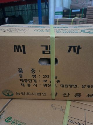 대산농사대장님의 감자·자유게시판 작성글 사진