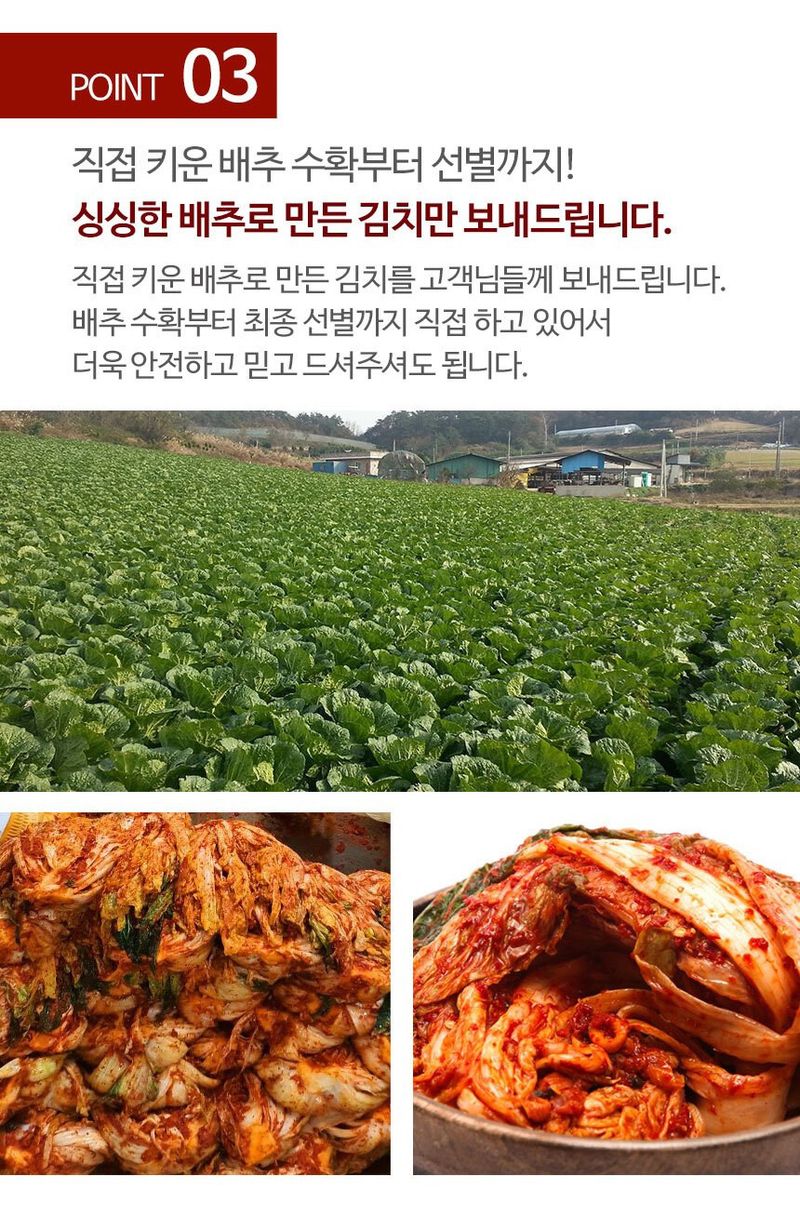 과일팩토리님의 장터 판매 상품 [전남 무안 정성가득 밥도둑 생갓김치 1KG/2KG/3KG/5KG/10KG] 첨부 사진