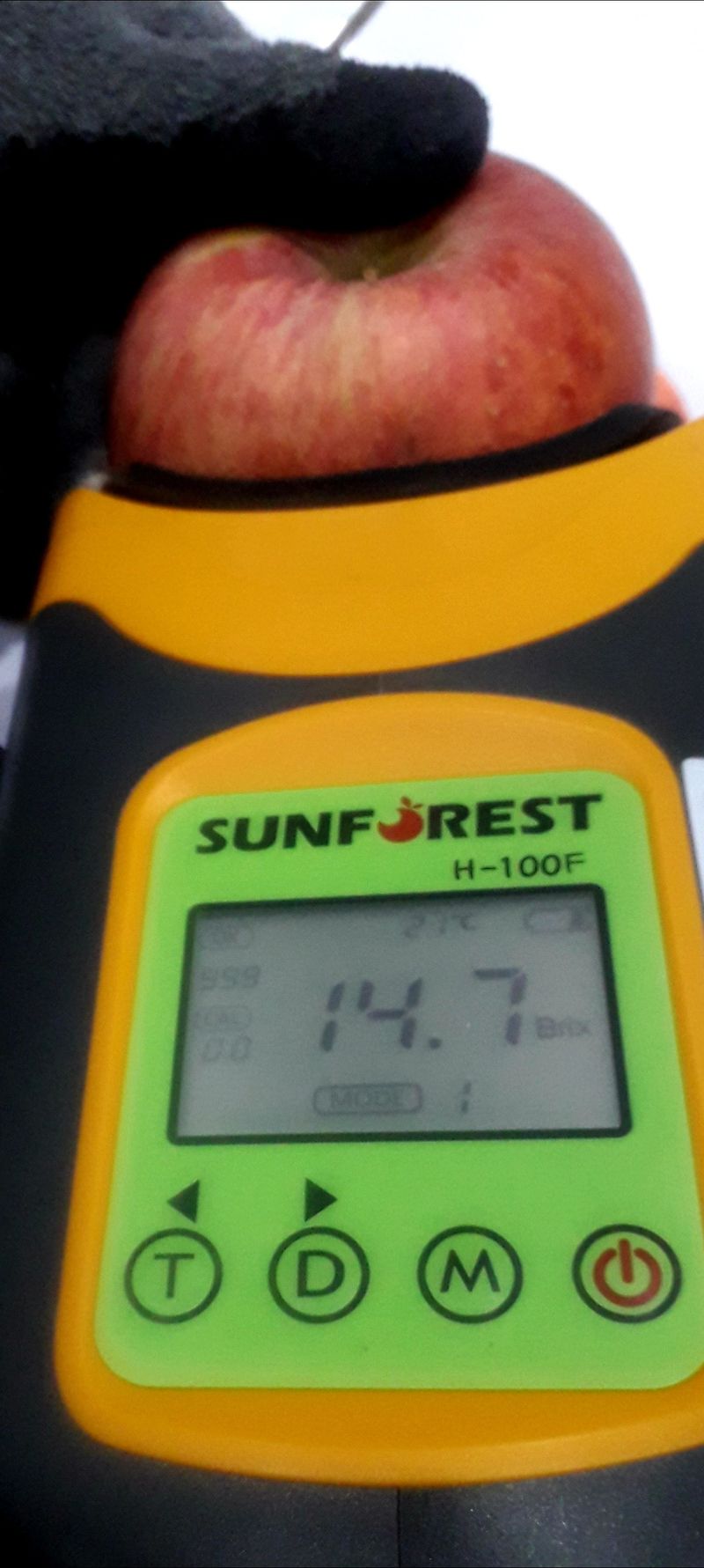 이슬농부농산님의 장터 판매 상품 [[히트상품] 가정용못난이 부사사과(10kg)] 첨부 사진