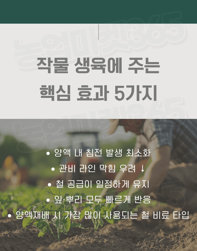 농업마켓365님의 장터 판매 상품 [킬레이트철 EDTA FeNa 13 수용성 비료 4KG/1KG 양액비료 관주비료 백화케어] 첨부 사진