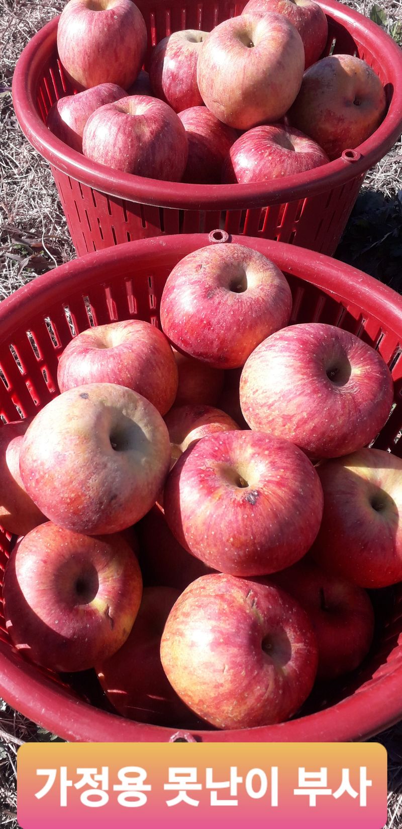 이슬농부농산님의 장터 판매 상품 [[히트상품] 가정용못난이 부사사과(10kg)] 첨부 사진