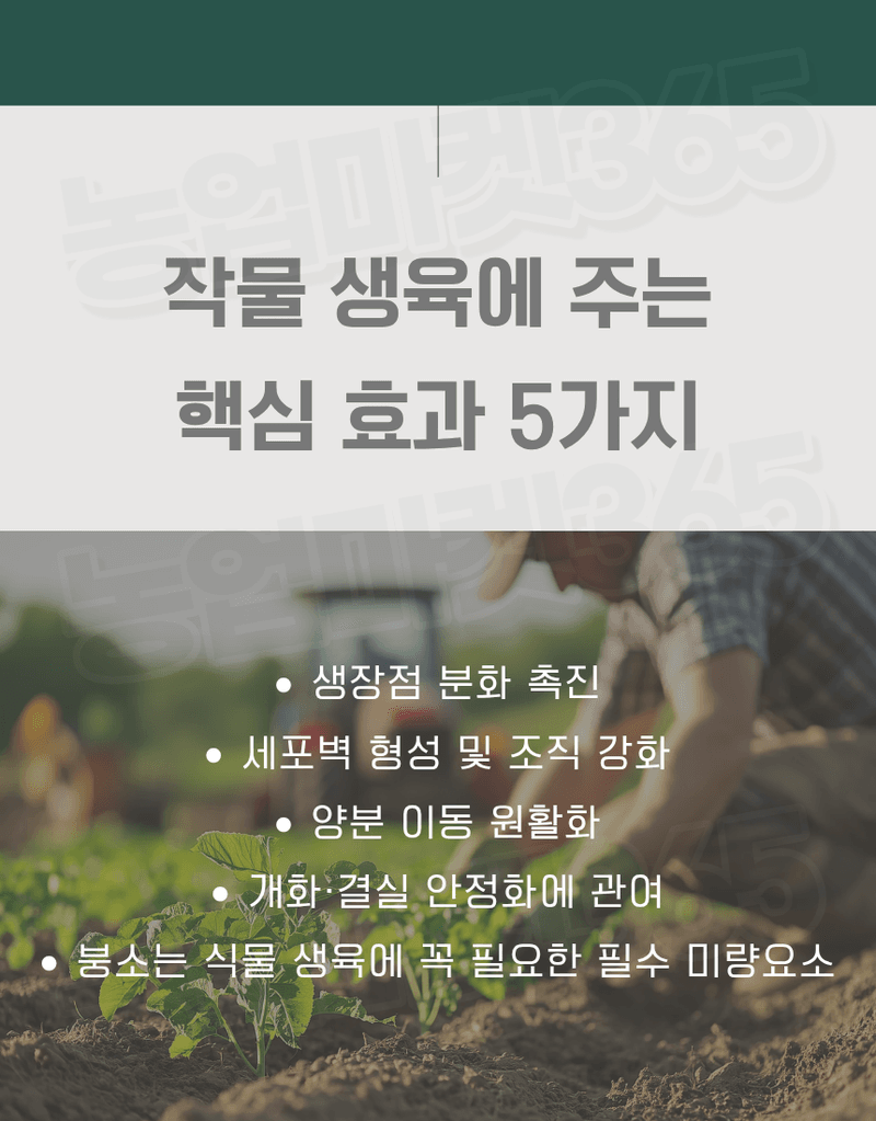 농업마켓365님의 장터 판매 상품 [U.S.Borax 미국산 고순도 붕산 56% 4KG/1KG 양액비료 관주비료 붕소결핍개선 붕소공급] 첨부 사진