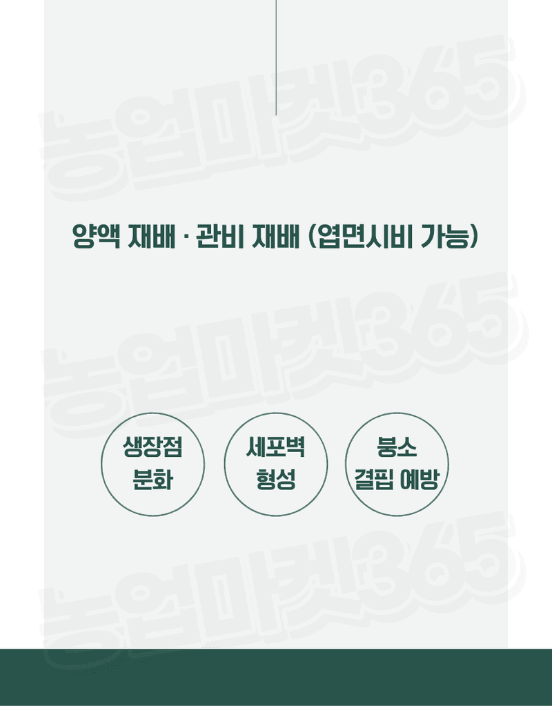 농업마켓365님의 장터 판매 상품 [U.S.Borax 미국산 고순도 붕산 56% 4KG/1KG 양액비료 관주비료 붕소결핍개선 붕소공급] 첨부 사진