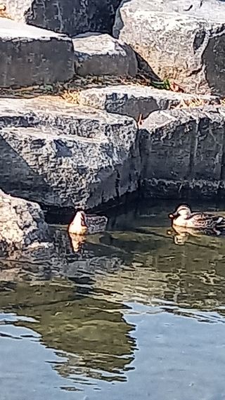 연향님의 자유주제 · 자유게시판 작성글 사진