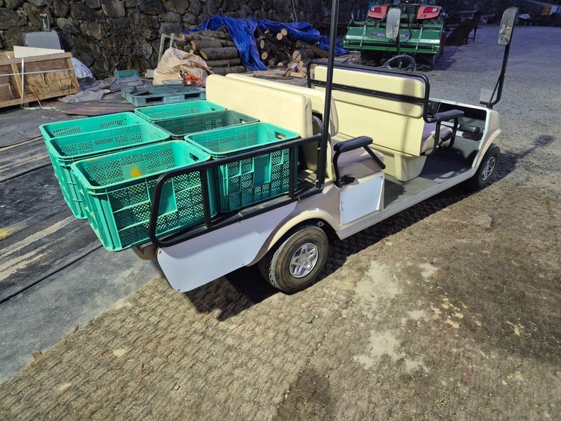 일개미(4454)님의 장터 판매 상품 [골프카트] 첨부 사진