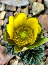 팜모닝 자유주제·자유게시판 게시글 이미지