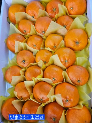 제주 지안이네농장님의 자유주제 · 자유게시판 작성글 사진