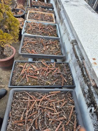 왕대추님의 자유주제 · 자유게시판 작성글 사진