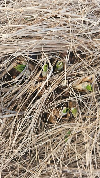 유기농으로키우자님의 자유주제 · 자유게시판 작성글 사진