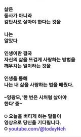 (팽나무*공주)님의 자유주제·자유게시판 작성글 사진