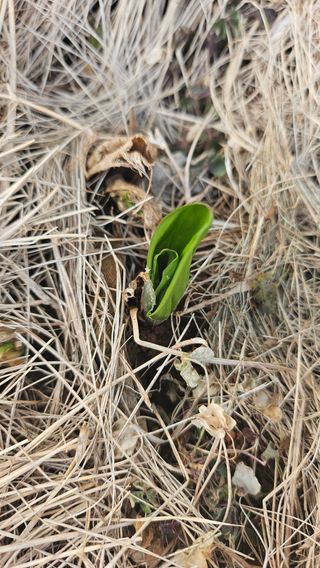 유기농으로키우자님의 자유주제 · 자유게시판 작성글 사진