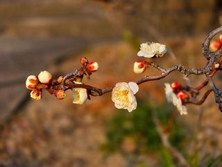 안길원님의 자유주제 · 자유게시판 작성글 사진