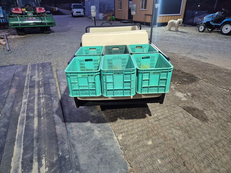 일개미(4454)님의 장터 판매 상품 [골프카트] 첨부 사진