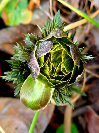 안길원님의 자유주제 · 자유게시판 작성글 사진