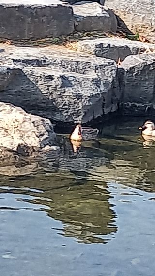 연향님의 자유주제 · 자유게시판 작성글 사진