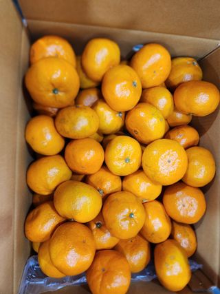 양태숙님의 작성글 사진