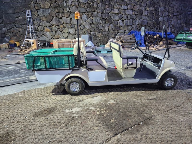 일개미(4454)님의 장터 판매 상품 [골프카트] 첨부 사진