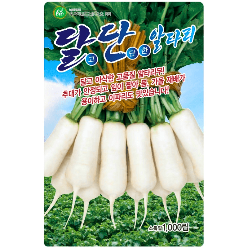 장터 상품 [달단 알타리무 씨앗 1000립 / 봄 가을 파종 고품질 H형 알타리 / 채소씨앗] 썸네일